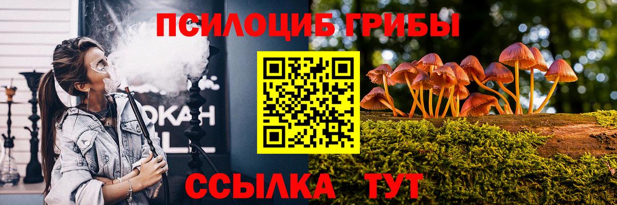 Псилоцибиновые грибы GOLDEN TEACHER Куйбышев