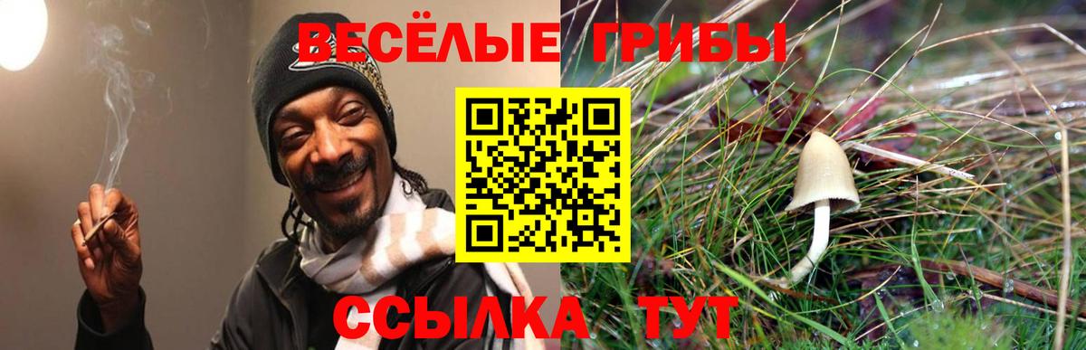 Галлюциногенные грибы GOLDEN TEACHER  Вход с VPN  Куйбышев 