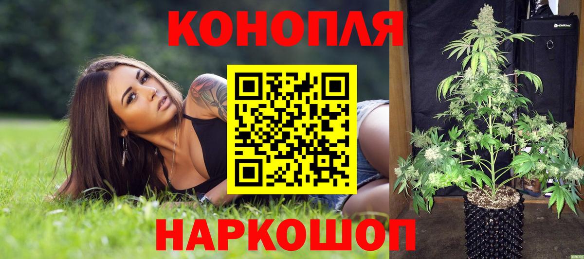Бошки марихуана VHQ Куйбышев